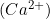 (Ca^{2+})