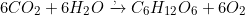 \[6CO_2+6H_2O\xrightarrow{\text{प्रकाश, क्लोरोफिल}}C_6H_{12}O_6+6O_2\]