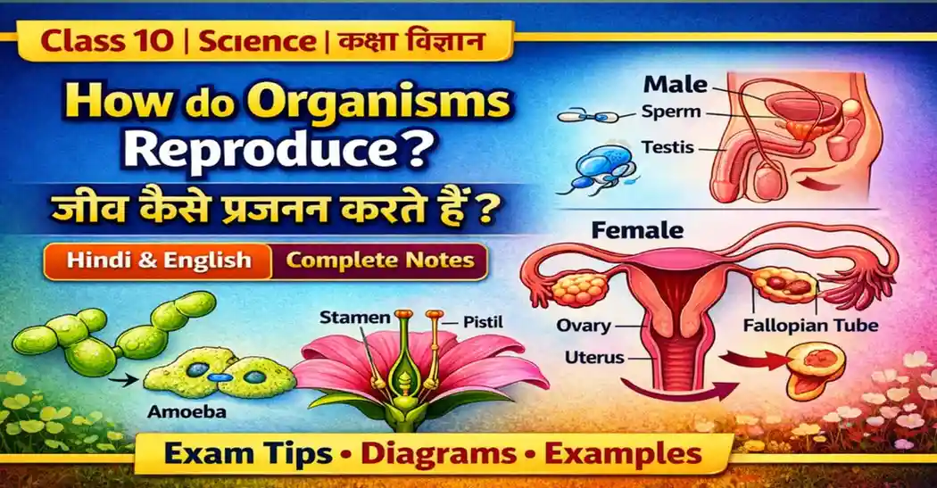 How do Organisms Reproduce Class 10 Notes Hindi & English | Complete Chapter Explanation