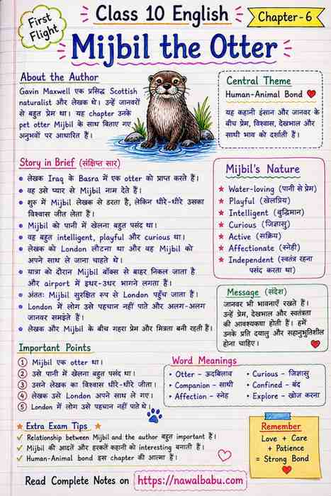 Mijbil the Otter Class 10 Notes in Hindi | Summary & Q&A