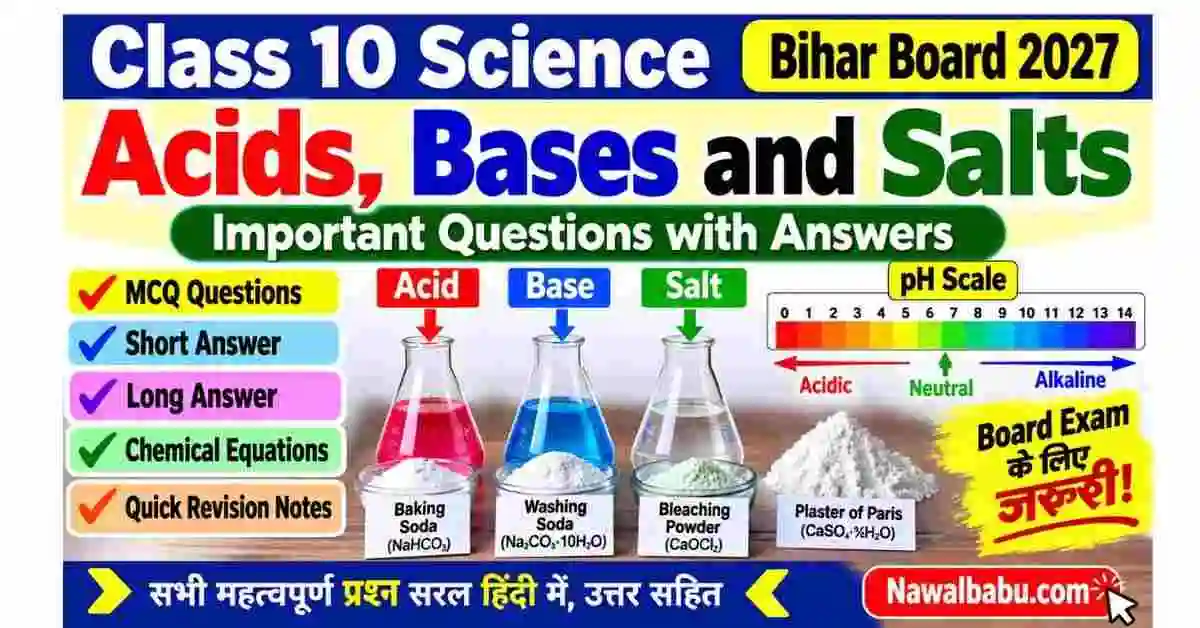 Acids, Bases and Salts Class 10 Important Questions with Answers | Bihar Board 2027